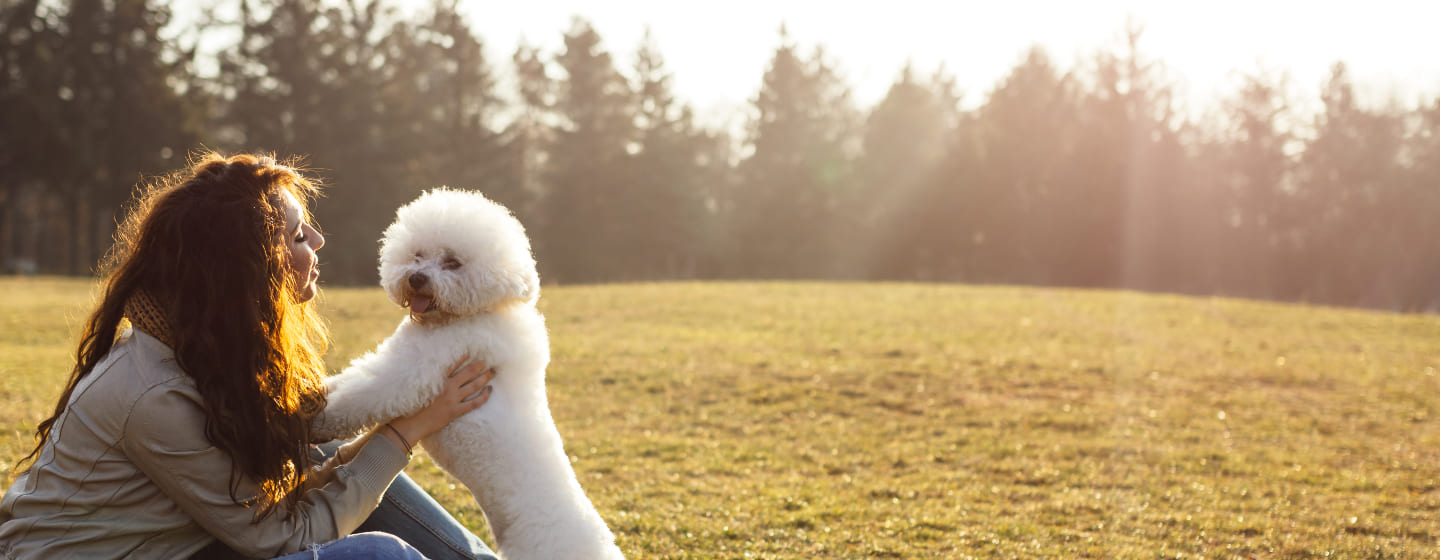 Little dog with curly hot sale hair